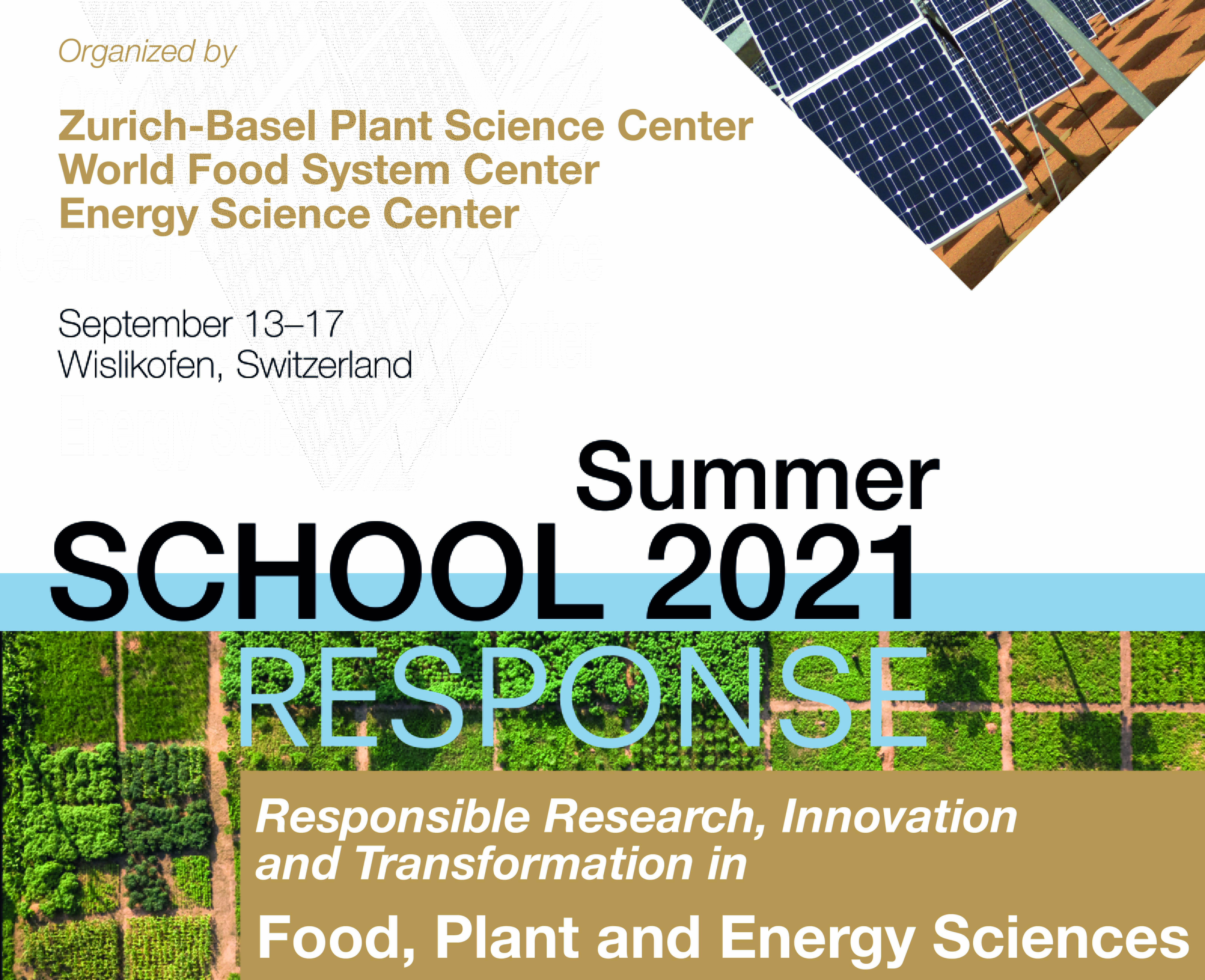 Summer School cover image